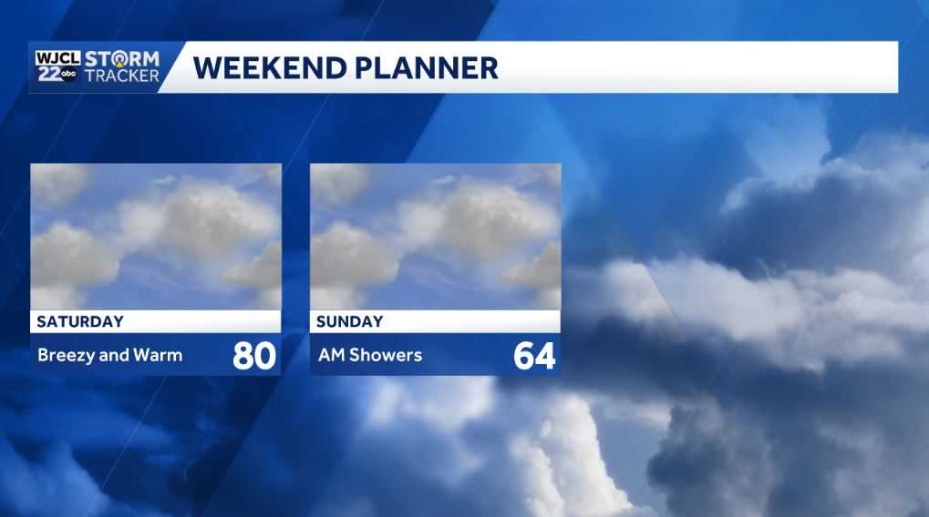 Mild weather for the Savannah area with rain chances on the way - WJCL