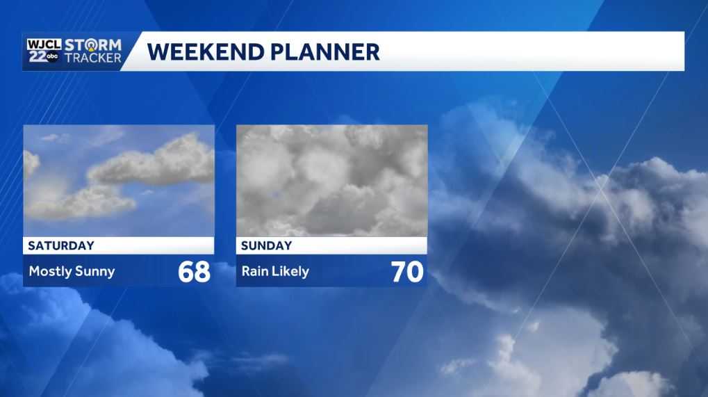 Spring-like for the Savannah area, plus showers by tomorrow - WJCL