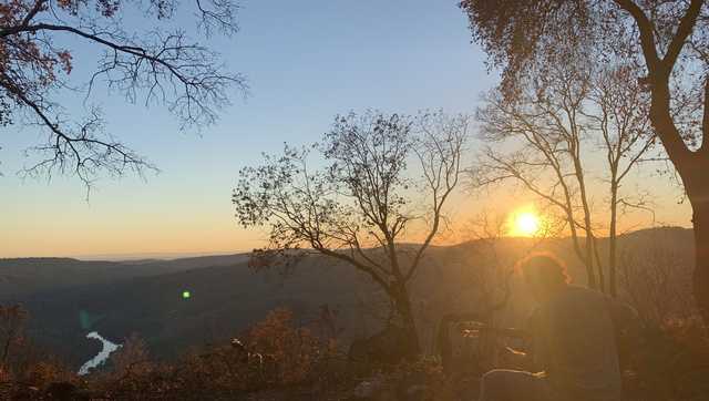 Musician plans to rebuild studio destroyed in Rices Fire - Vimarsana News