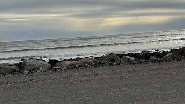 Seals take refuge from surf, get rest along Maine coast - Vimarsana News