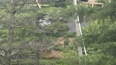 1 taken to hospital after crashing into, damaging pole