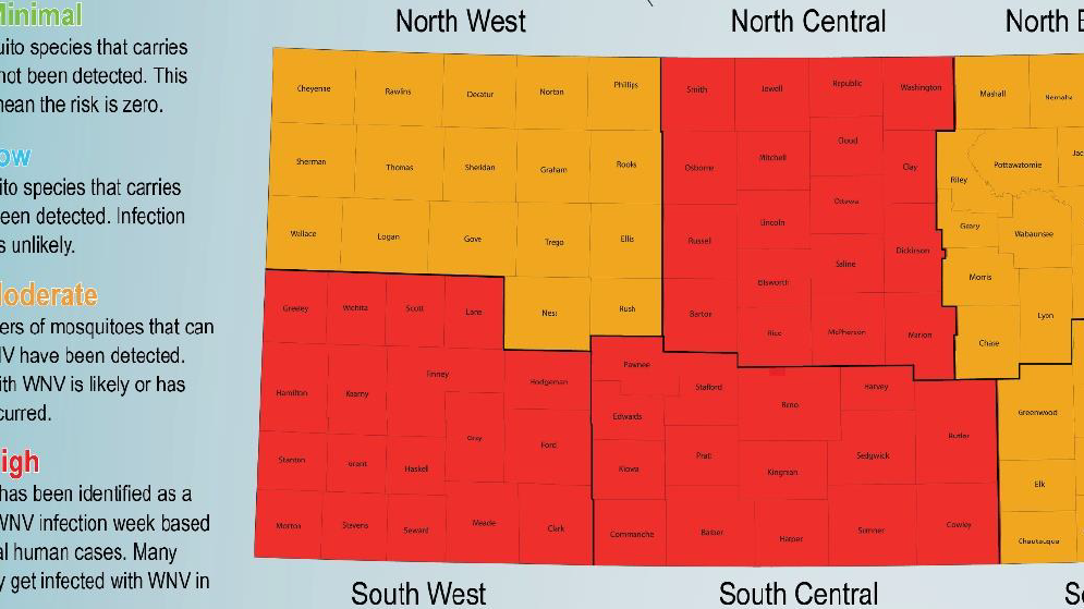 Kansas Dept Of Agriculture Issues Warning West Nile Anemia Confirmed In Horses - xbql5ke