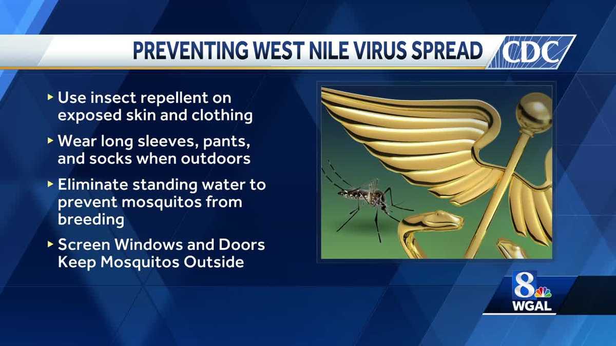 Virus du Nil occidental détecté dans la vallée de Susquehanna
