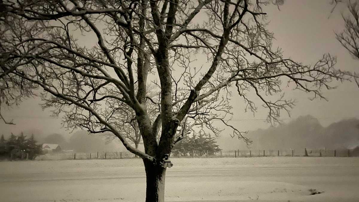 South Carolina: Snow pictures