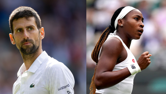 Djokovic, Alcaraz, Gauff headline loaded field in Cincinnati's W&S Open - Vimarsana News