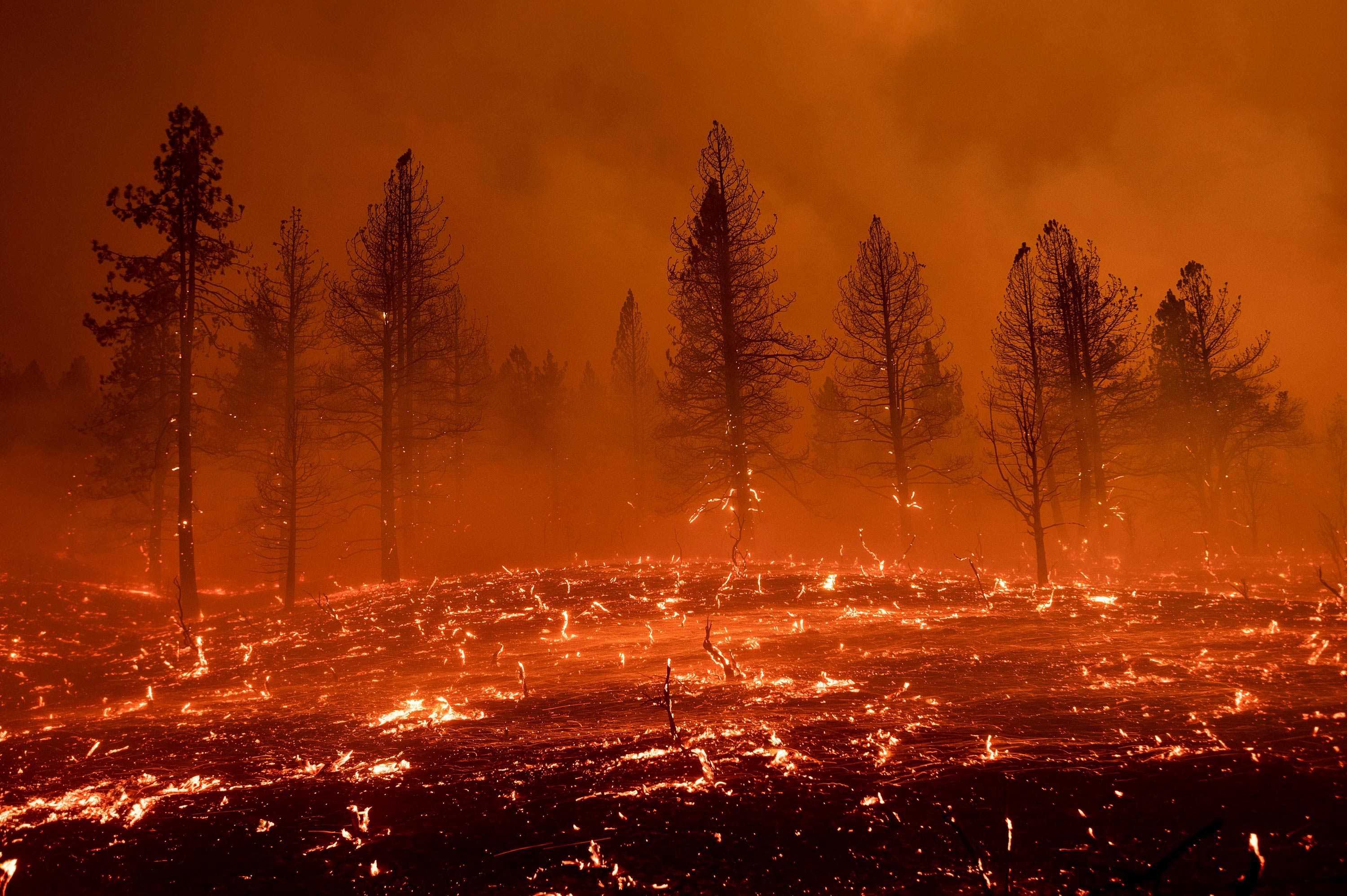 Why do wildfires happen? Here’s a look at whether arson, climate change — or both — are to blame