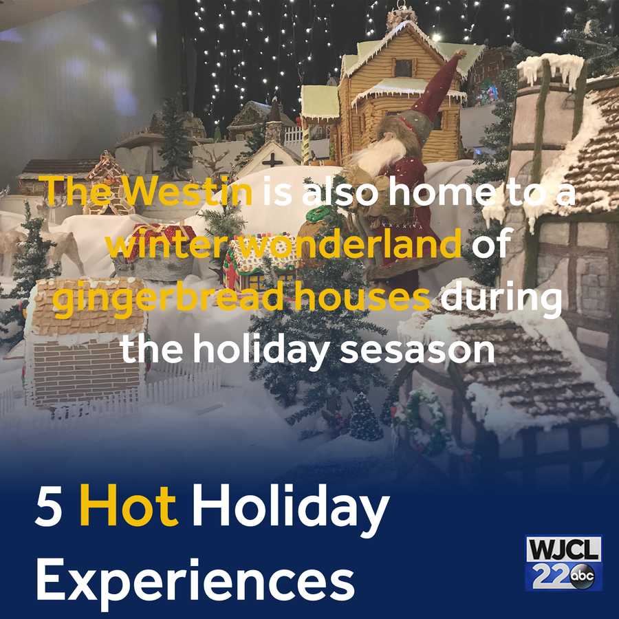 5 Hottest holiday experiences