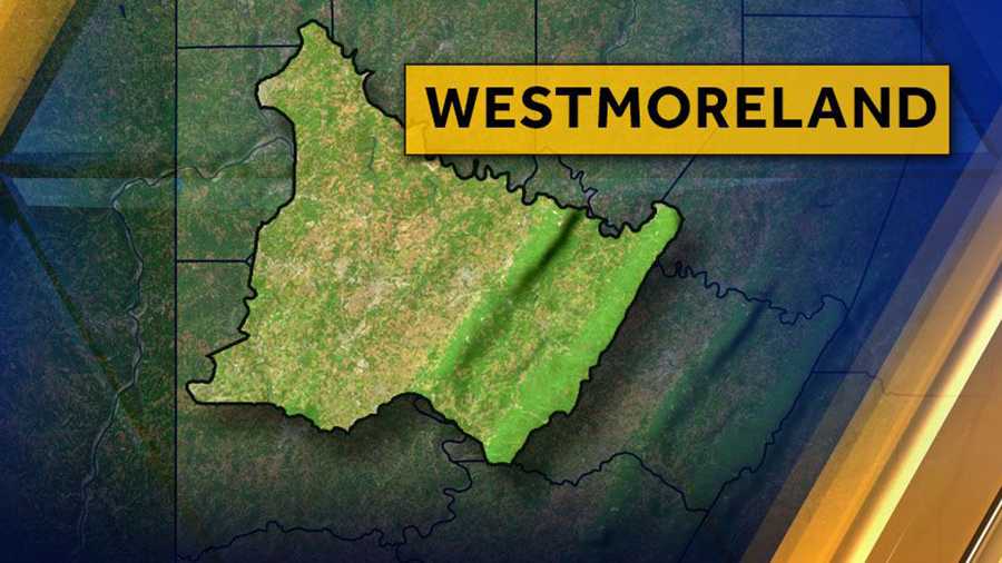 WESTMORELAND COUNTY 2019 election results