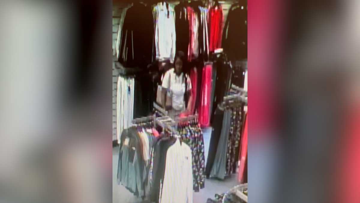 State police asking for public's help identifying theft suspect