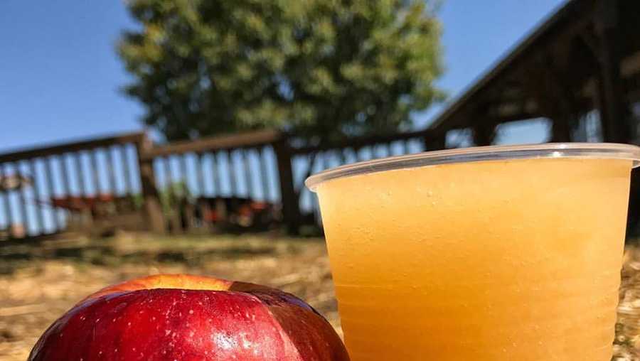 Kansas Citys 5 Best Places To Pick Apples 