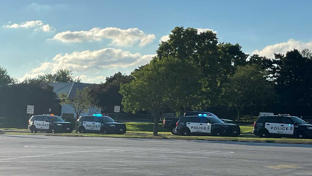 Omaha police say one person is in custody after gun scare near ...