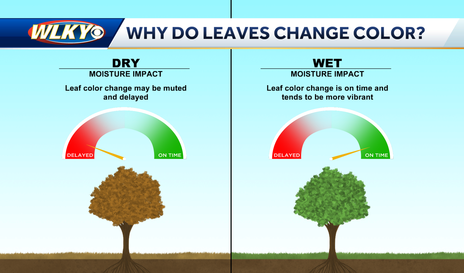 Why Do Leaves Change Colors in the Fall?