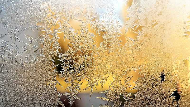 "Ice crystals on the door to our back porch in Lancaster Township."