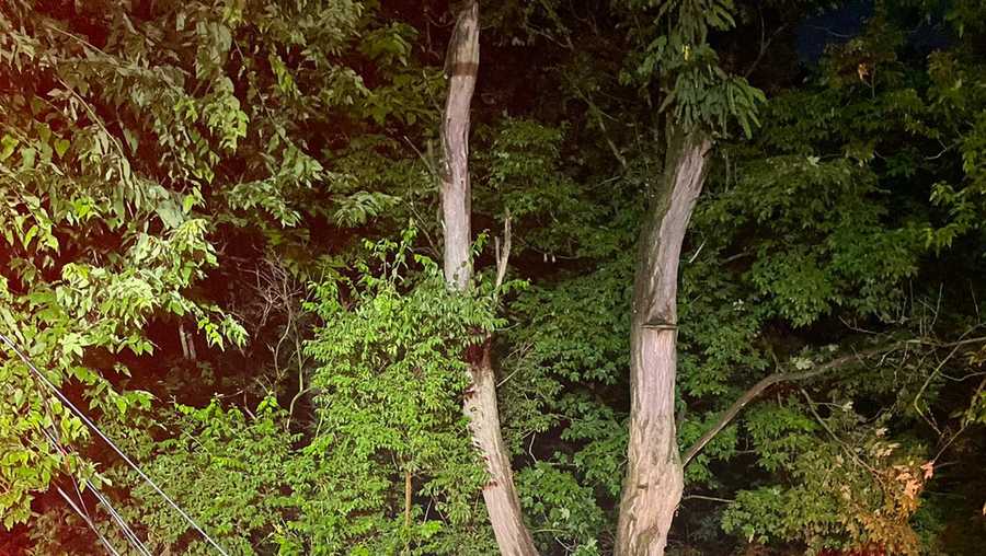 Police: Colerain Avenue shutdown due to crash with wires down