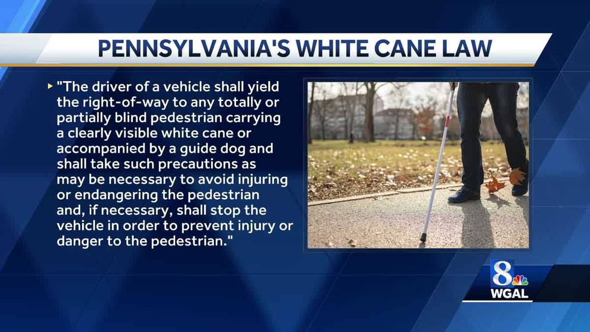 White Cane Safety Day 