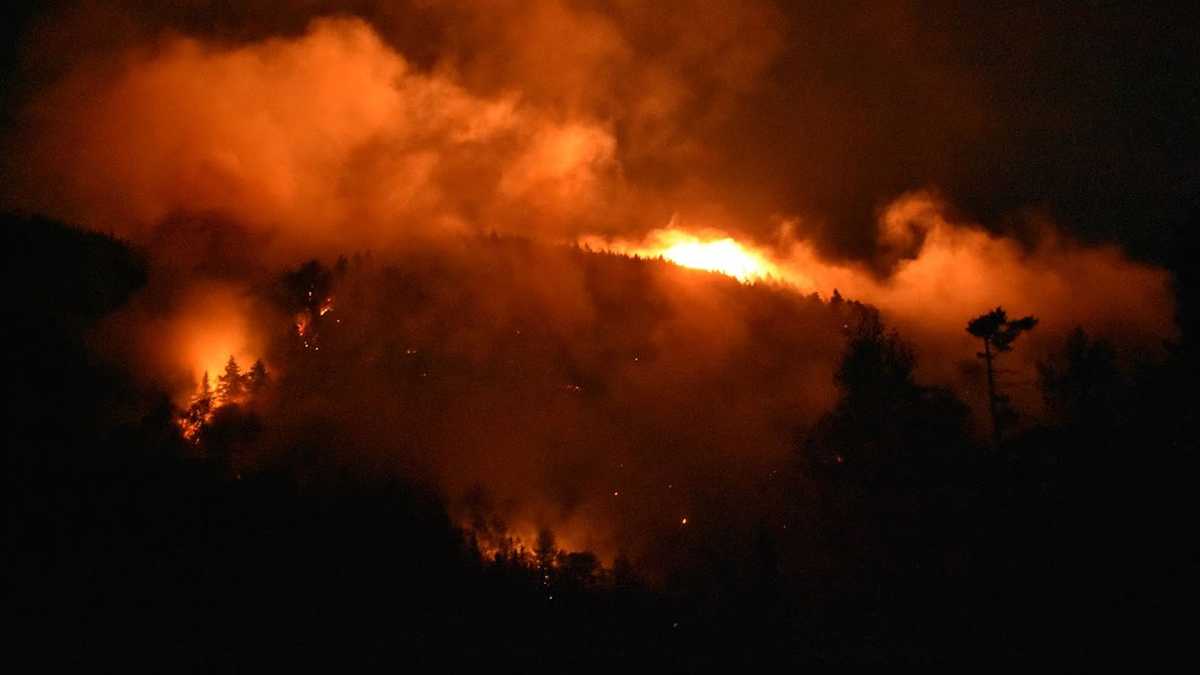 More than 100 firefighters battling forest fire in White Mountains