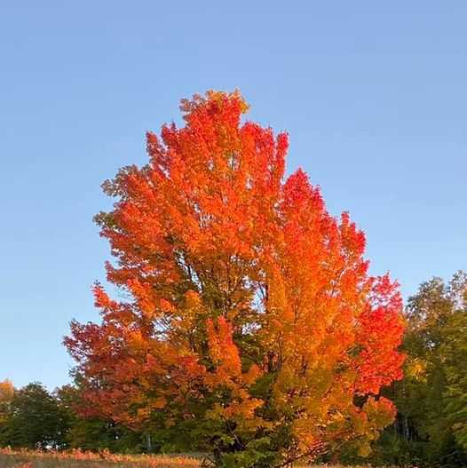 New England foliage this weekend? Head to northern New Hampshire