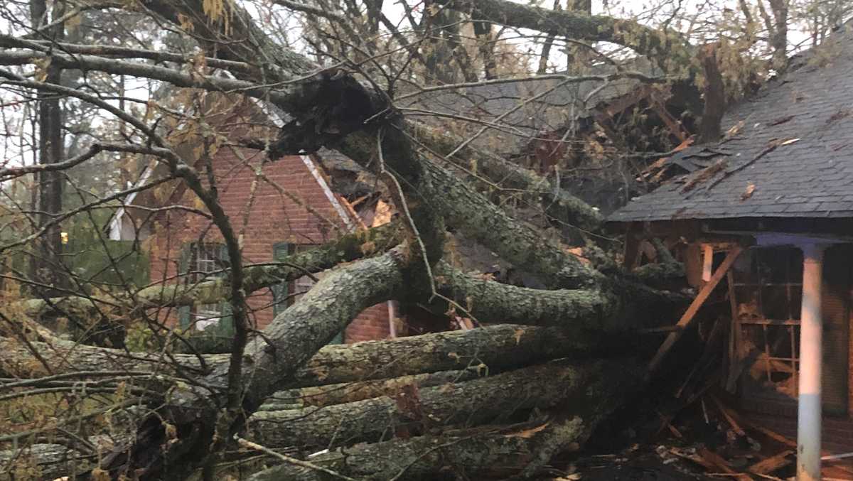 Large tree slices Jackson home in half during severe storms