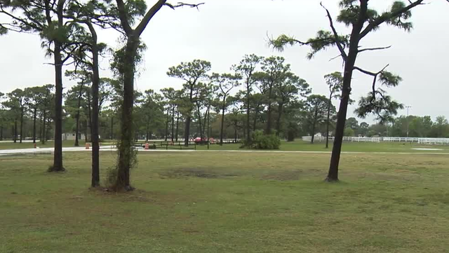 Officials clash over who should control Wickham Park in Melbourne - Vimarsana News