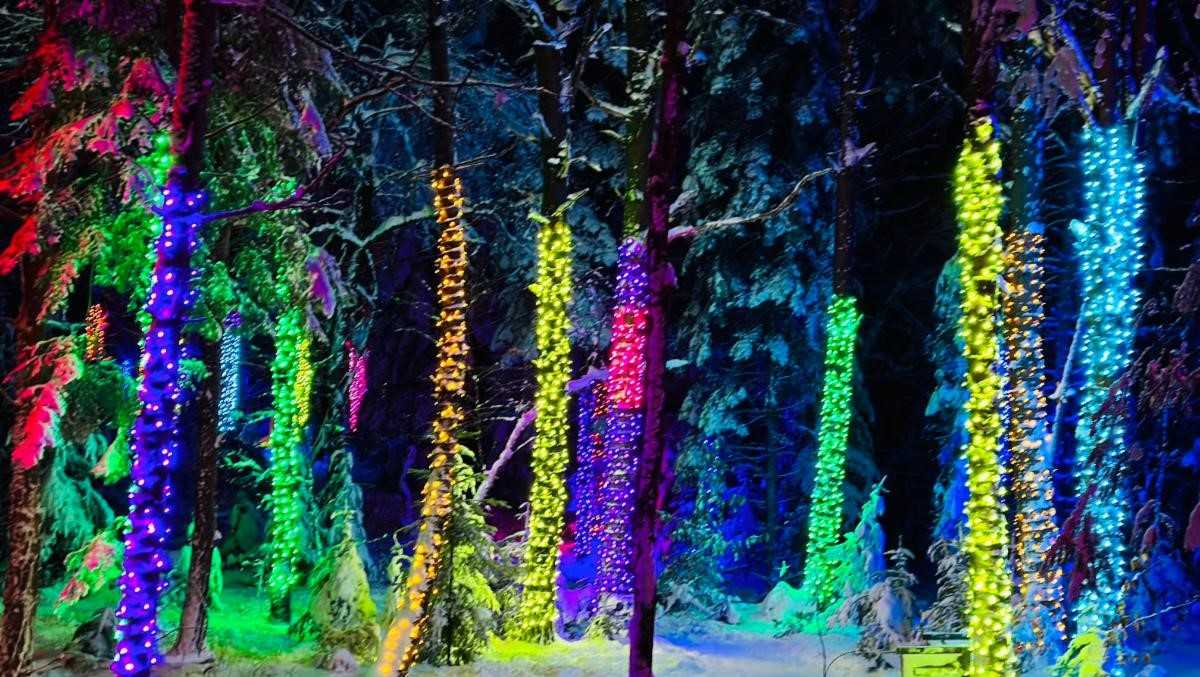 The Wild Center Wild Lights to return this holiday season