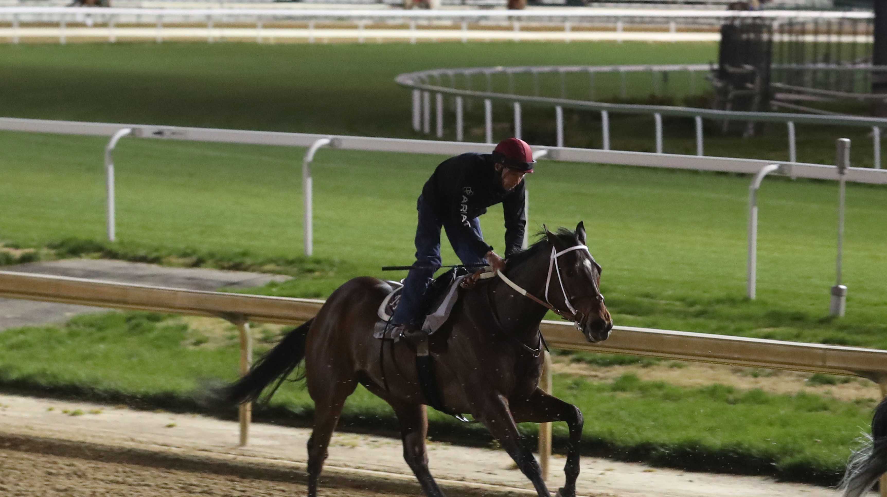 Churchill Downs releases statement after 4 horses die before Derby - Vimarsana News