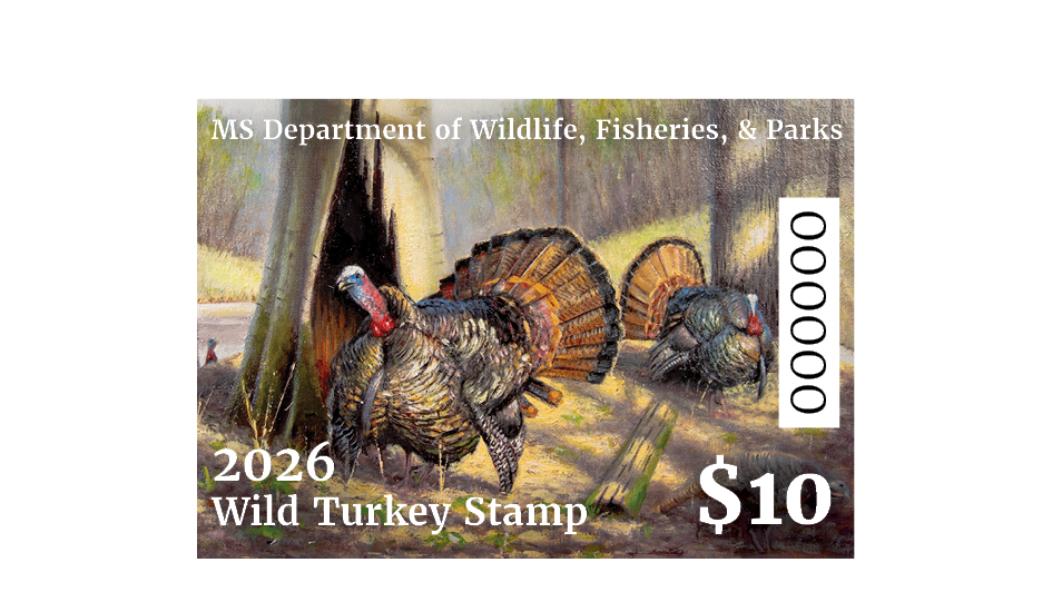 New special stamp to serve as permit for wild turkey season