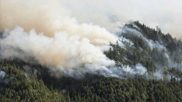 North Carolina: Firefighters battling new wildfire in McDowell County - Vimarsana News