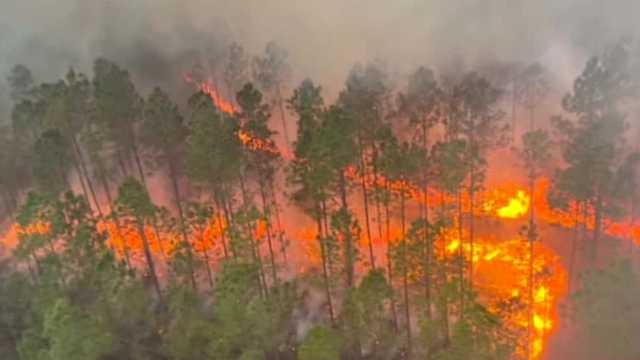 Crews working to contain wildfire in Volusia County - Vimarsana News