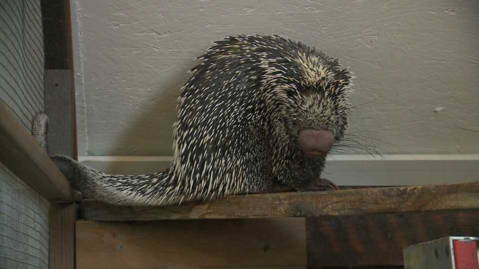 Wednesday, March 29th: Wildlife Encounters