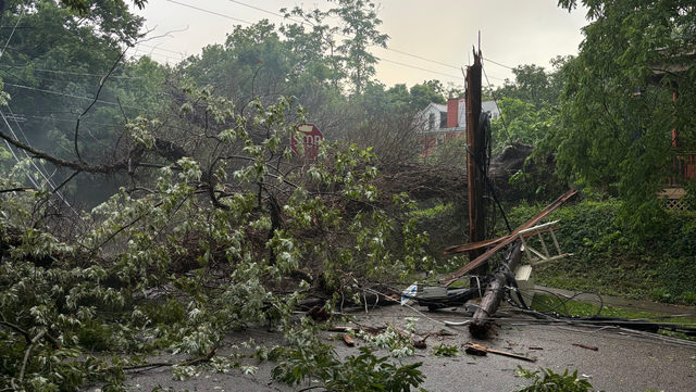 Strong storms topple trees, power lines throughout Greater Cincinnati
