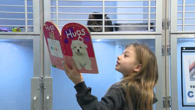 Children practice reading with Pittsburgh shelter animals - Vimarsana News
