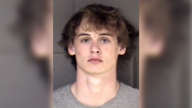 Georgia teen charged after interstate crash kills 2 passengers - Vimarsana News