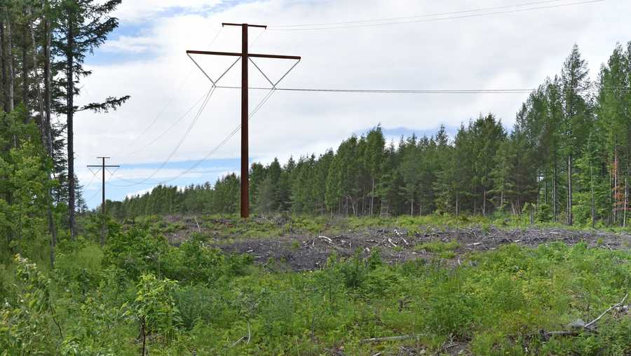 A rendering shows what the proposed NECEC transmission line project would look like.