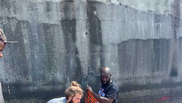 New Orleans Mississippi River safety Ally Wilson - Vimarsana News