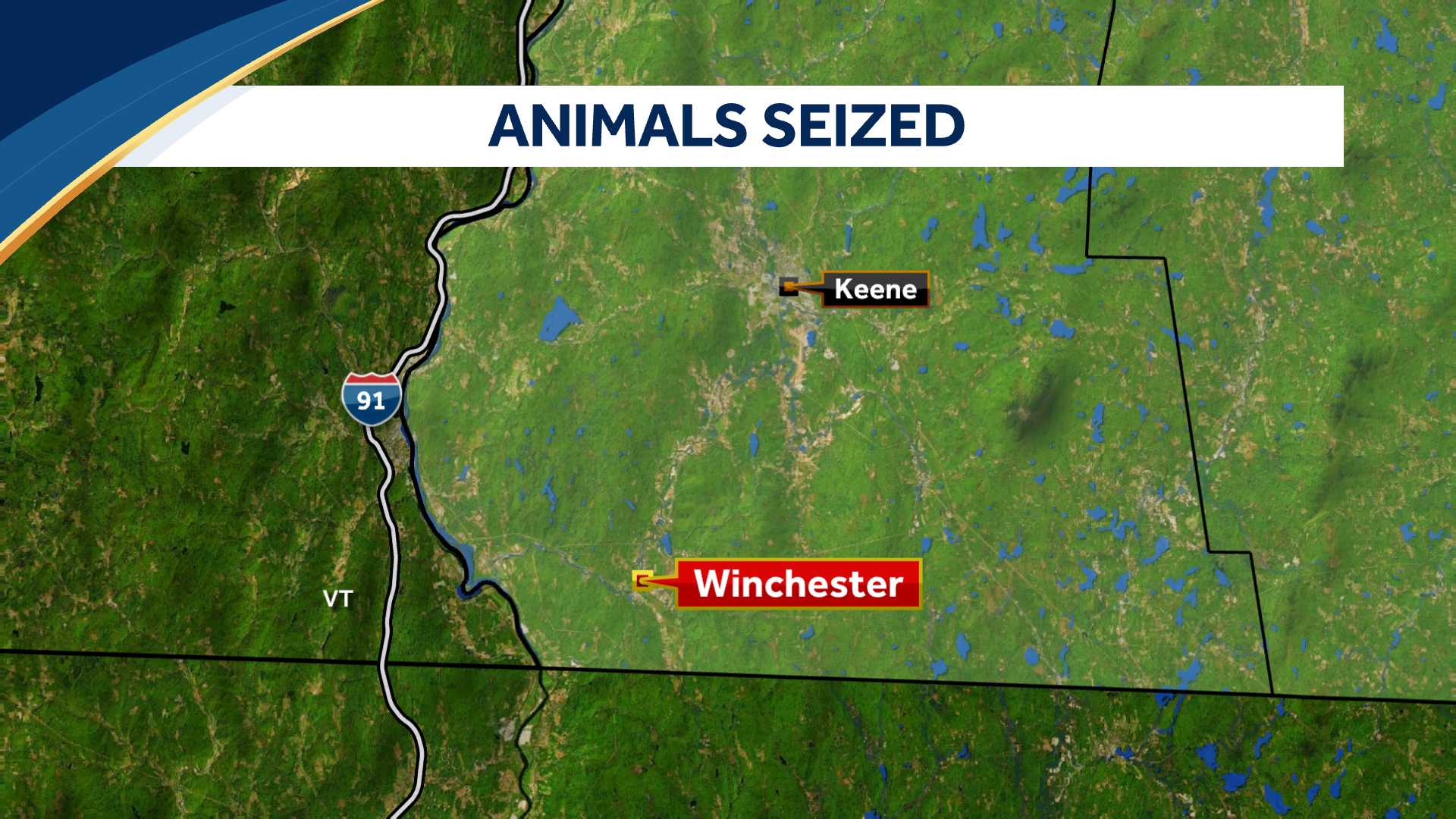 Animals seized from home in Winchester, New Hampshire - Vimarsana News