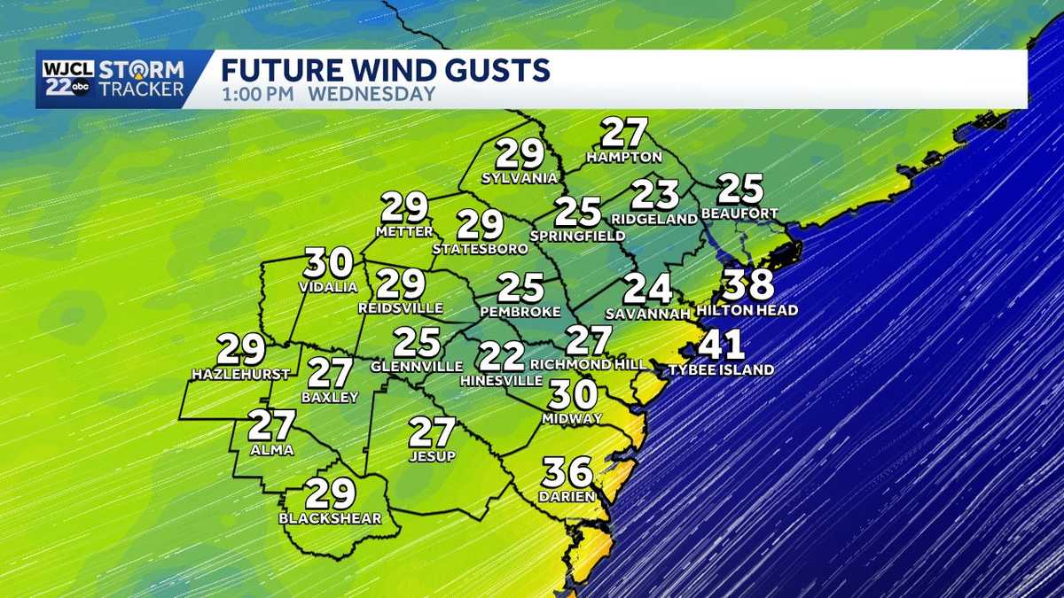 Gusty winds and an elevated wildfire risk Wednesday for parts of Georgia, South Carolina