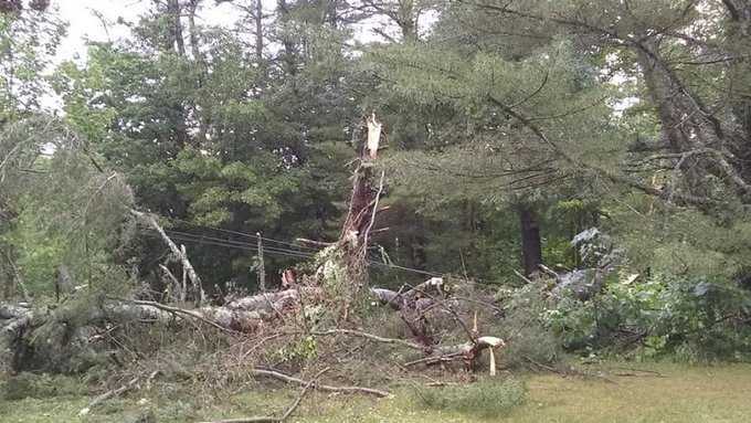 Storm downs trees and power lines in Windham