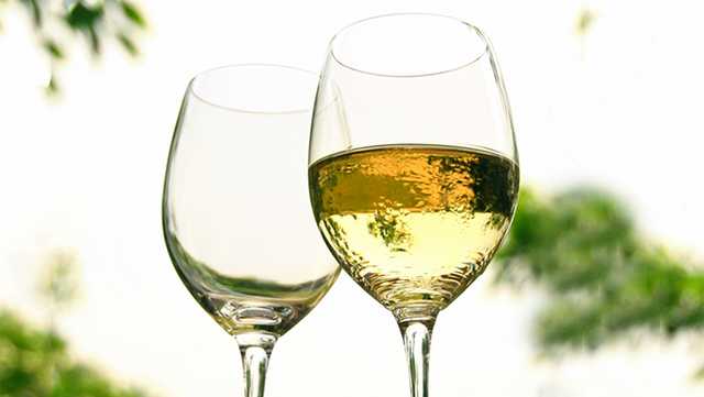 South Carolina: Date released for Greenville Fall Wine Festival - Vimarsana News