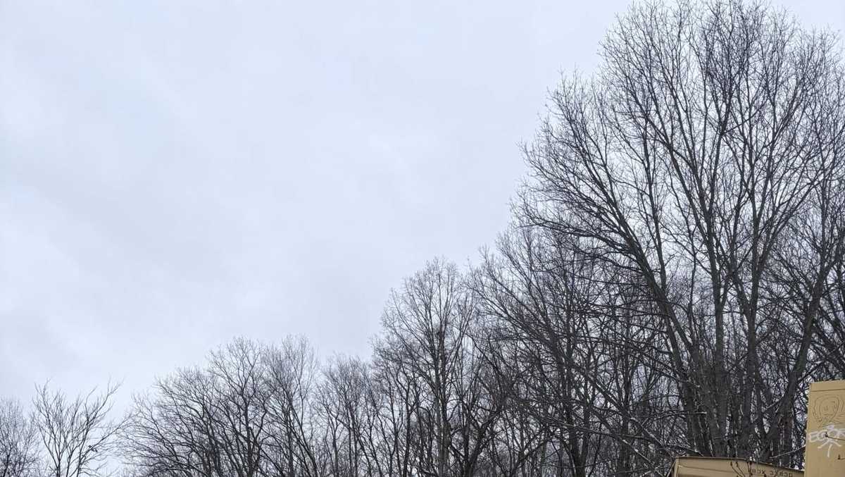 Train transporting wine derails in Pennsylvania