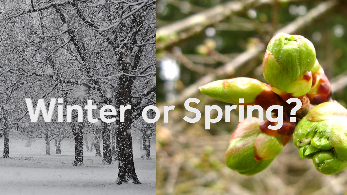 The groundhog is wrong: A look at the next six weeks of weather