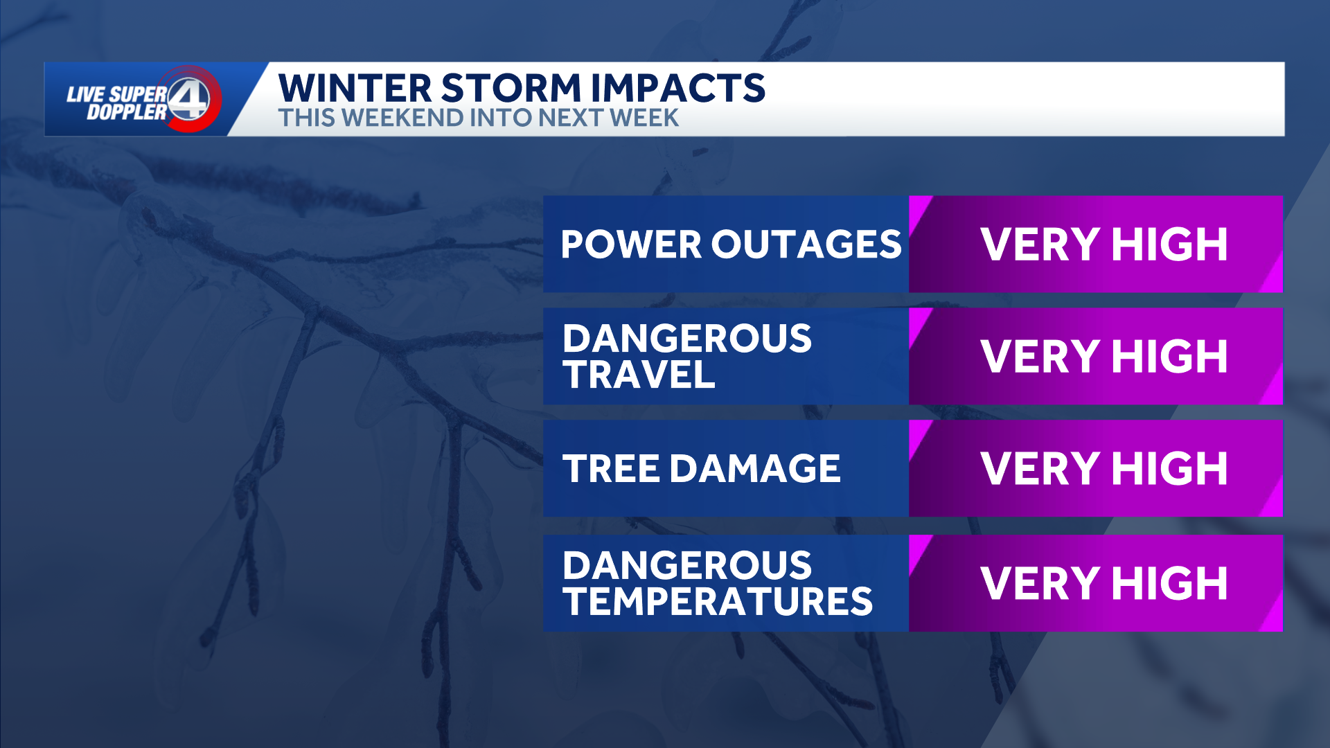 South Carolina: Expected ice totals this weekend - WYFF