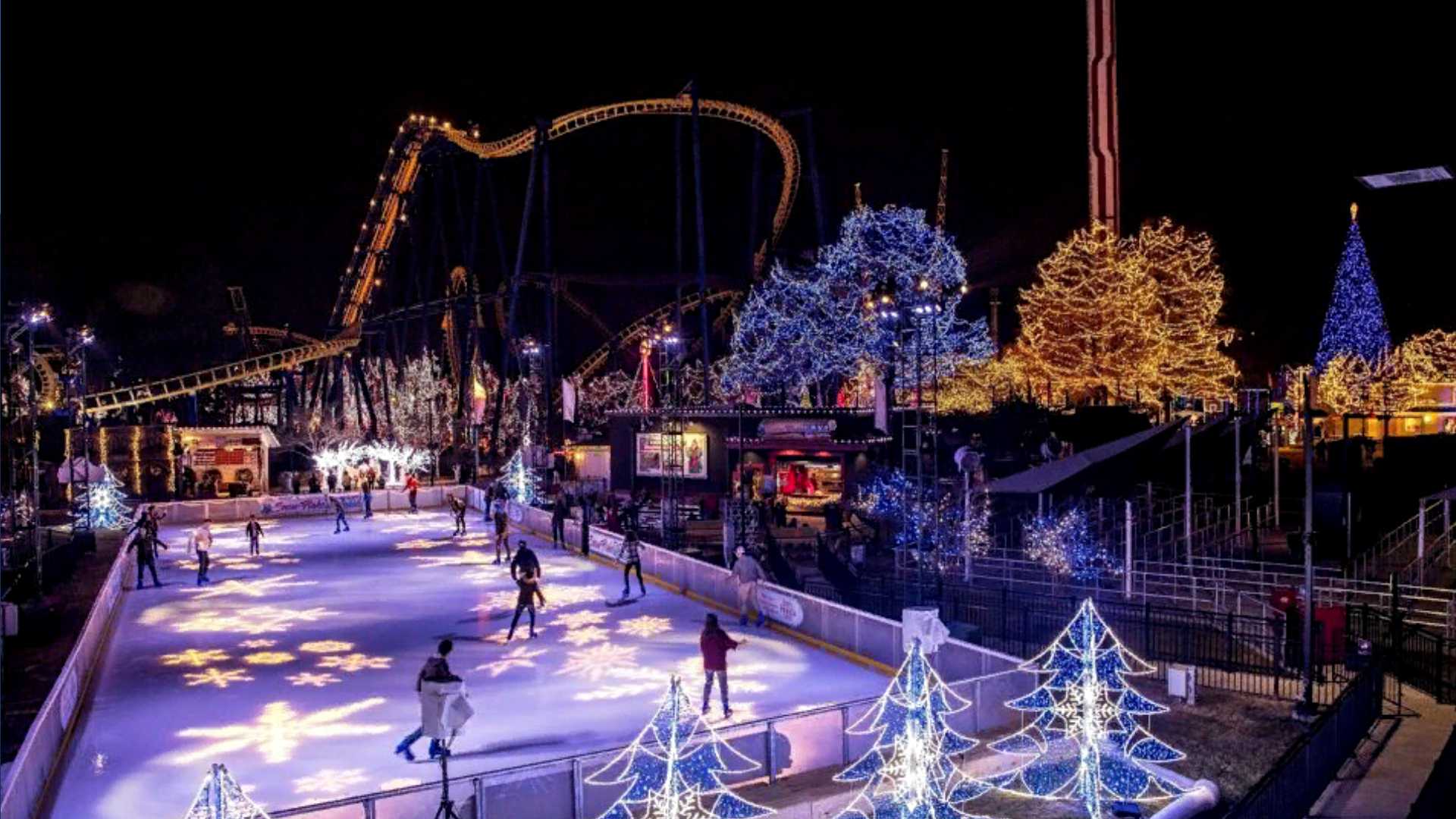 Carowinds winterfest store