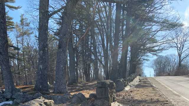 Police seek vandals who damaged a Maine cemetery - Vimarsana News