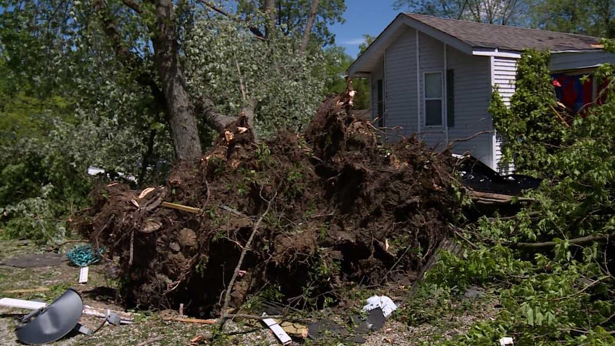 Powerful storms around region expose potential hidden hazards trees pose