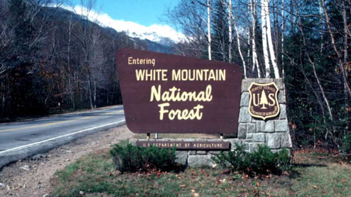 White Mountain National Forest turns 100