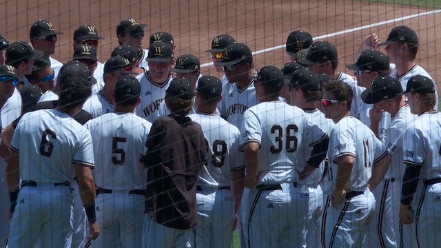 Wofford baseball 2024