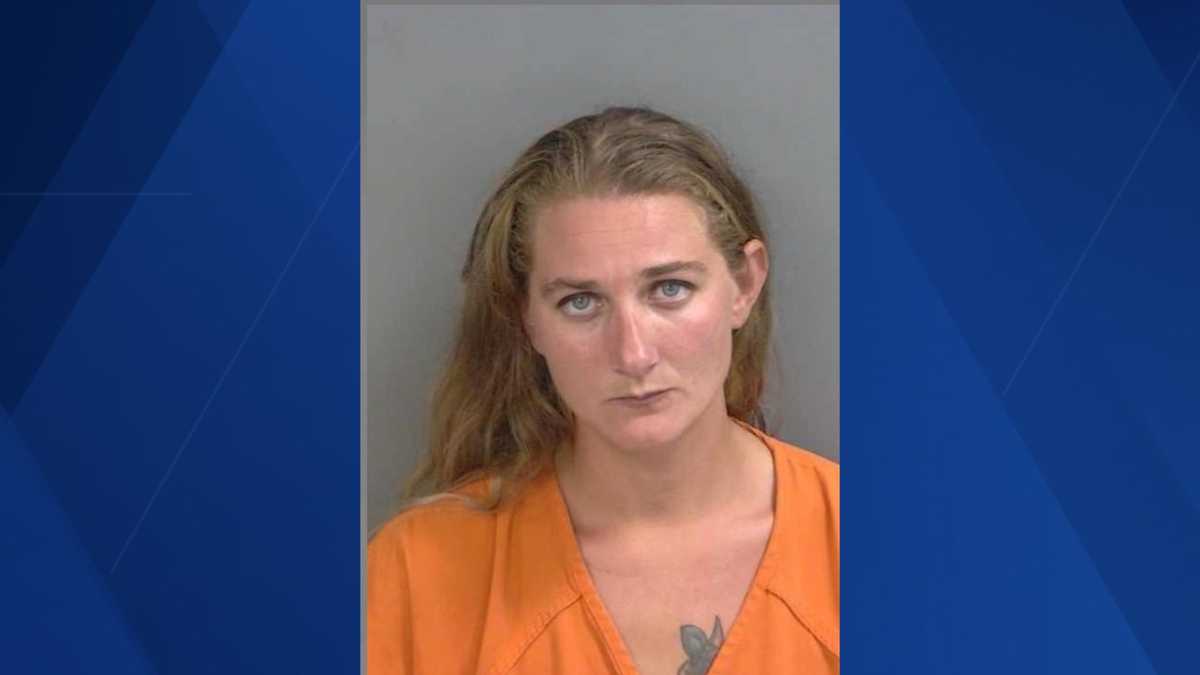 Collier County woman sentenced to 10 years in prison after trying to ...