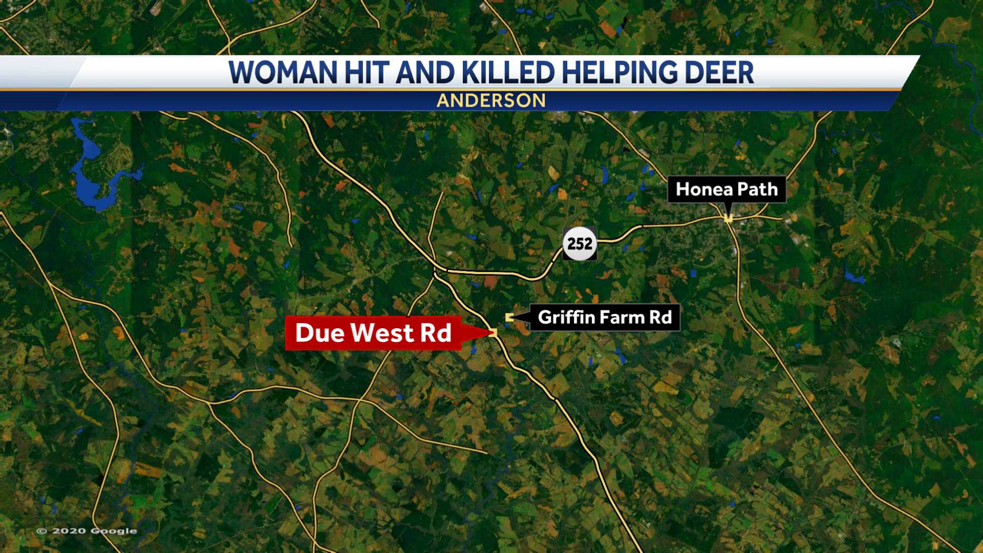 Woman Hit And Killed While Stopping To Help Injured Deer In Roadway ...