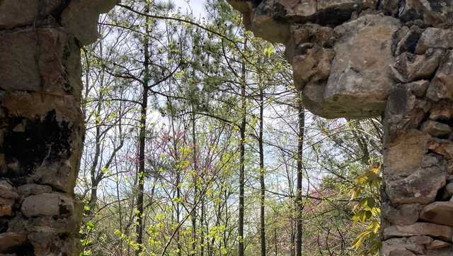 Wonderland Cave story sparks interest, recollections - Vimarsana News