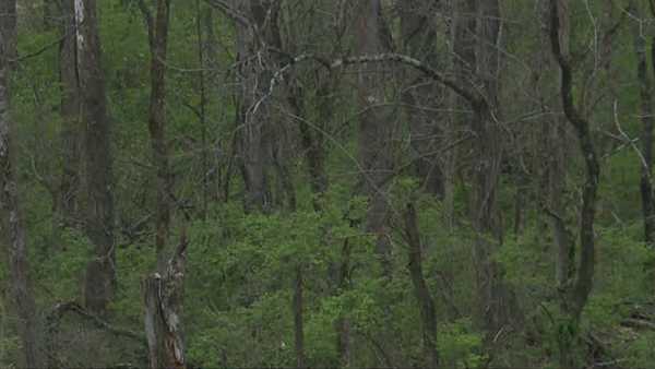 ISP sets up national tip line after boy found dead in woods - Vimarsana News